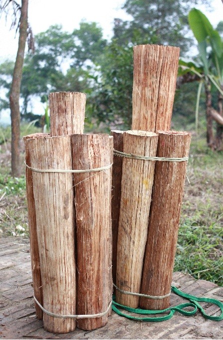 Le “bois de fiançailles” des Gie Trieng - ảnh 4